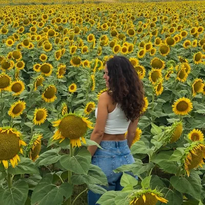 sara dorado