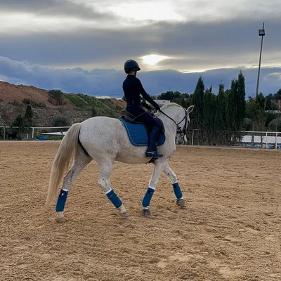 Blanca llaca