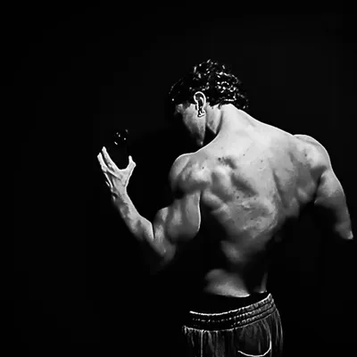 Jordi M.